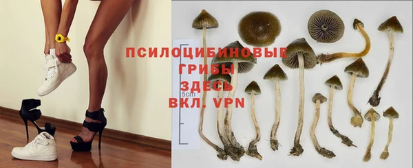 амф Алзамай