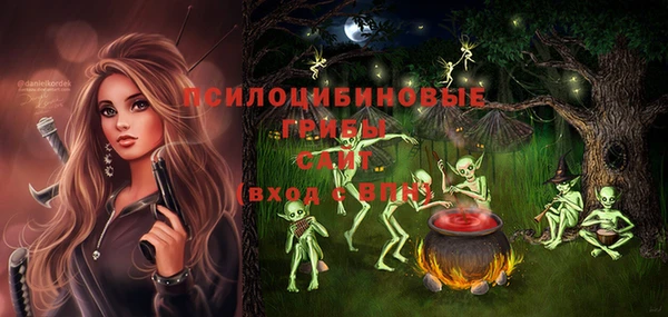 бошки Алексеевка