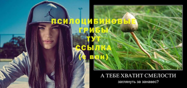 амф Алзамай