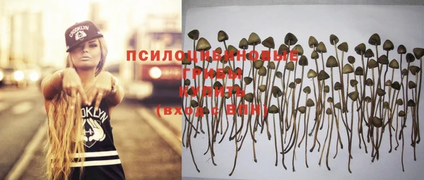 бошки Алексеевка