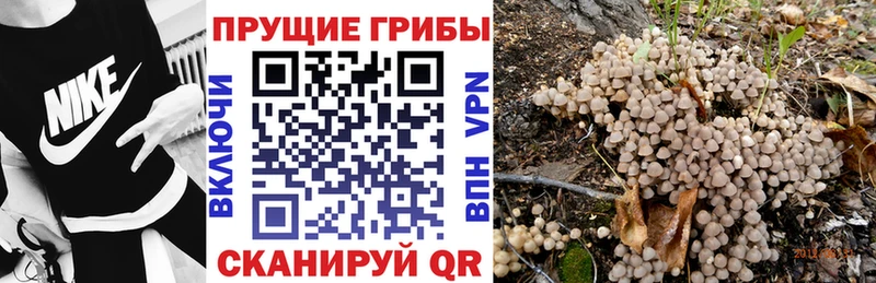 Псилоцибиновые грибы прущие грибы  Завитинск 